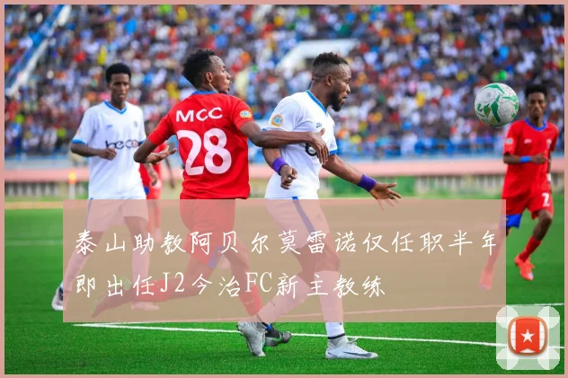 泰山助教阿贝尔莫雷诺仅任职半年即出任J2今治FC新主教练